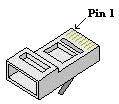 RJ45-Macho